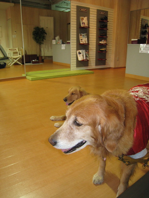 ファイル 587-2.jpg