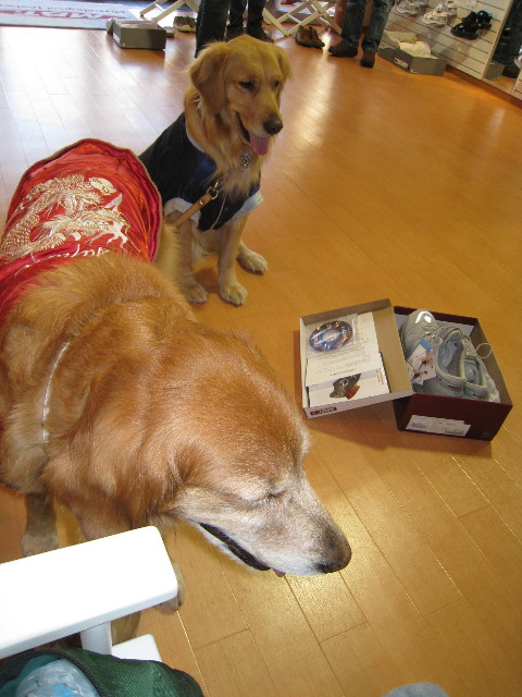 ファイル 587-3.jpg