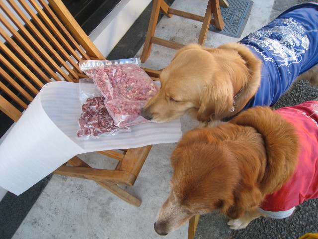 ファイル 587-4.jpg