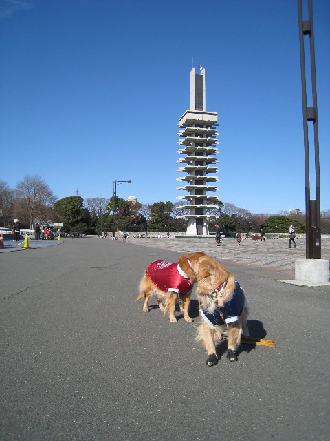 ファイル 587-5.jpg