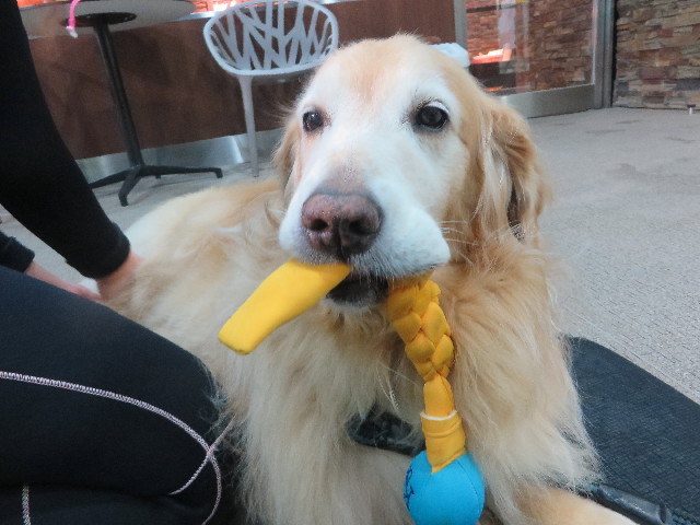 ファイル 5870-1.jpg