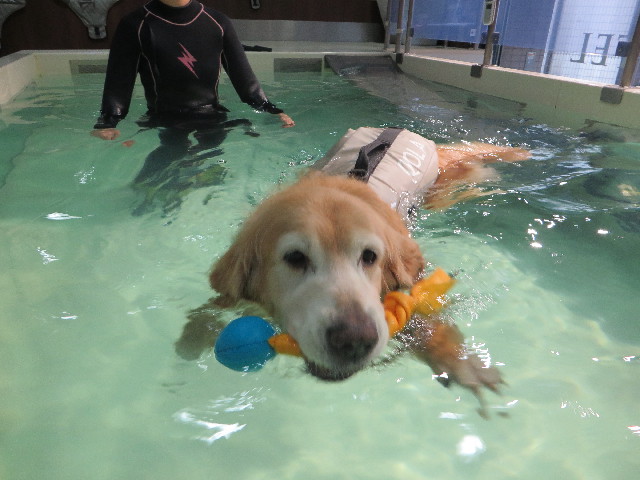 ファイル 5870-3.jpg