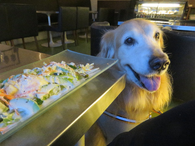 ファイル 5872-2.jpg