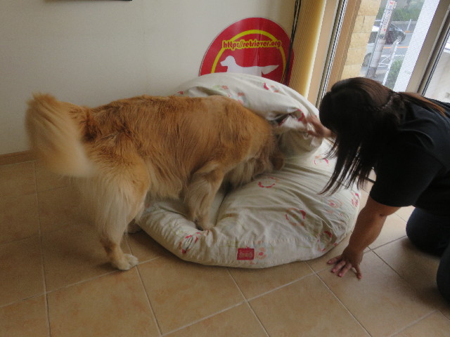 ファイル 5873-4.jpg