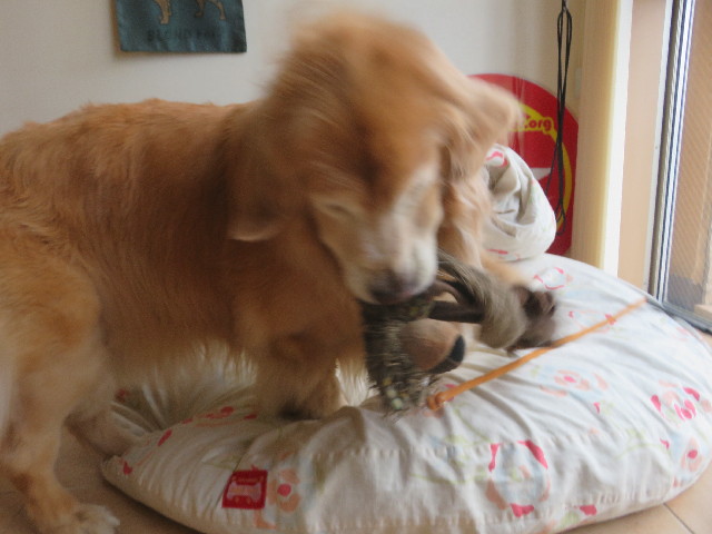 ファイル 5873-5.jpg