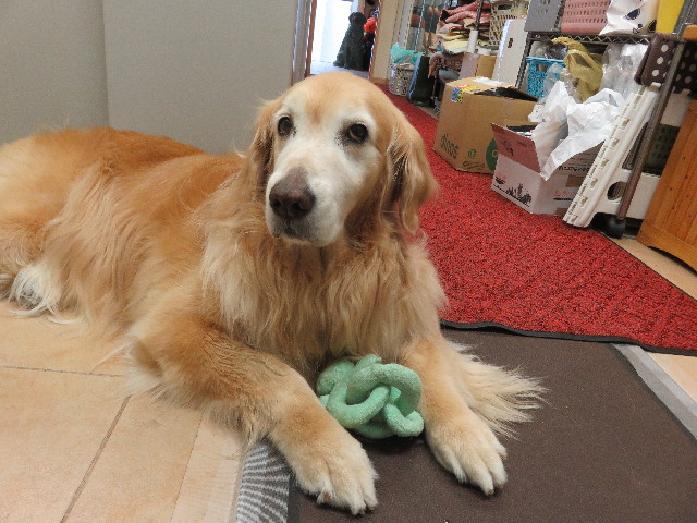 ファイル 5874-3.jpg