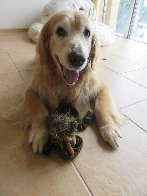 ファイル 5874-5.jpg