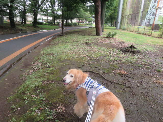 ファイル 5875-5.jpg