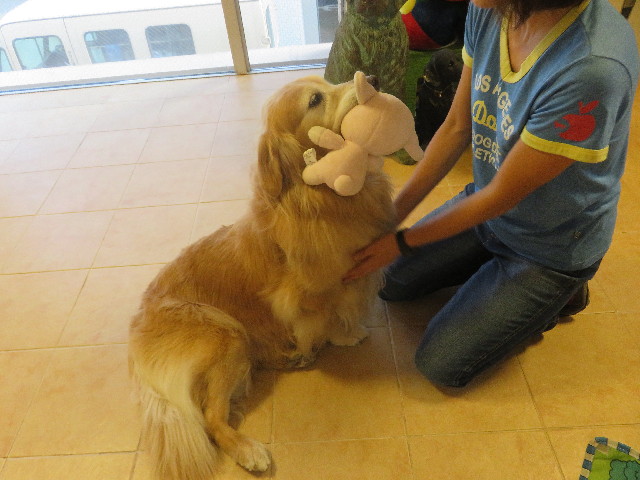 ファイル 5876-1.jpg