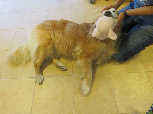 ファイル 5876-2.jpg