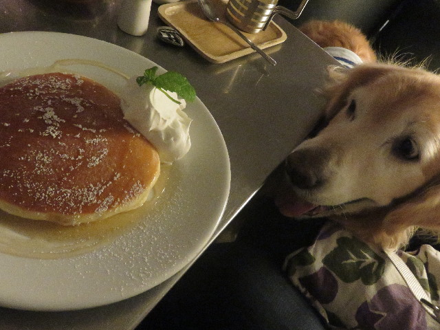 ファイル 5876-3.jpg