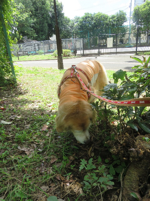 ファイル 5876-4.jpg