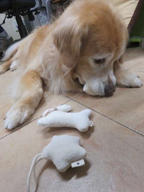 ファイル 5877-5.jpg