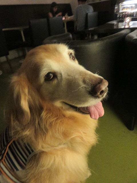 ファイル 5878-2.jpg