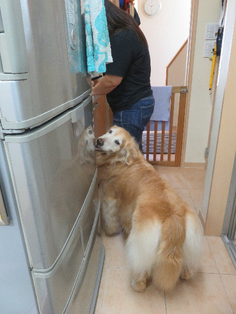 ファイル 5879-2.jpg