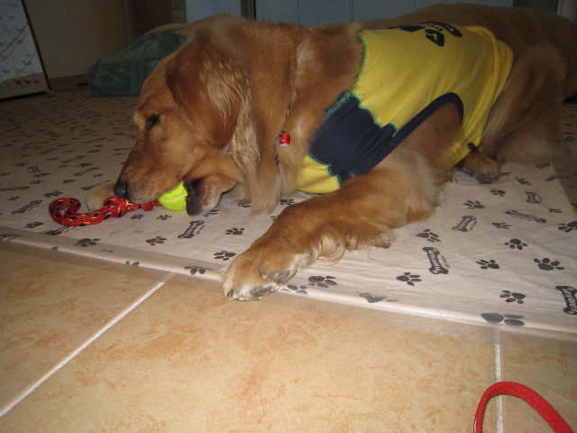 ファイル 588-2.jpg