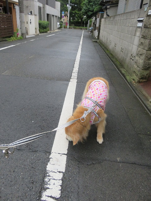 ファイル 5880-5.jpg