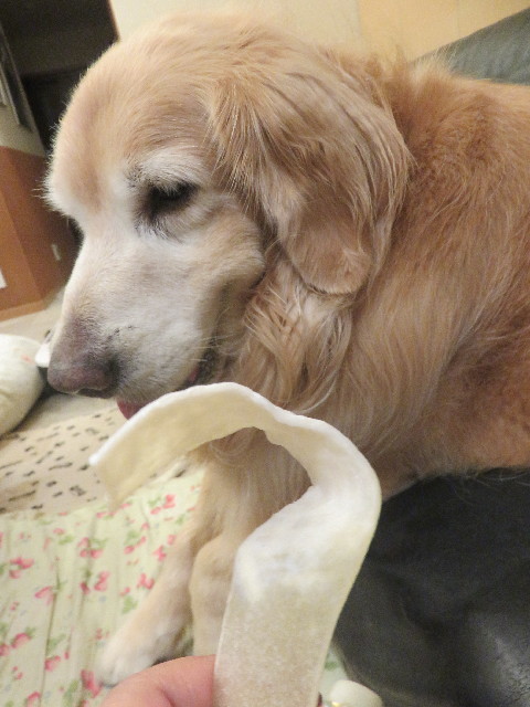 ファイル 5881-1.jpg