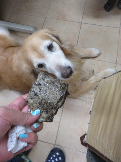 ファイル 5881-3.jpg