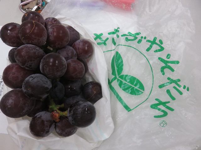 ファイル 5881-4.jpg