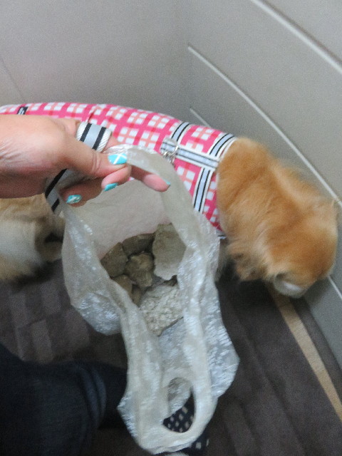 ファイル 5882-1.jpg