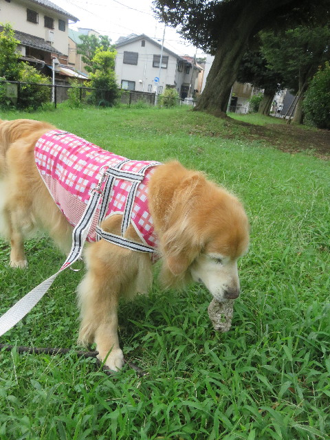 ファイル 5882-3.jpg