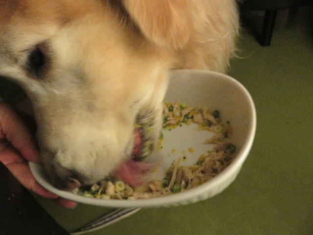 ファイル 5883-2.jpg