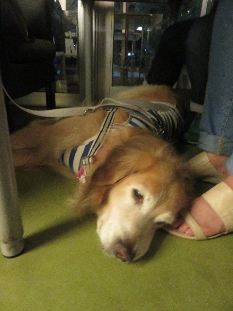 ファイル 5883-3.jpg