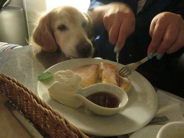 ファイル 5883-4.jpg