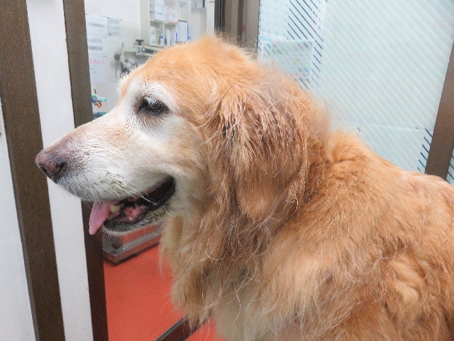 ファイル 5884-2.jpg