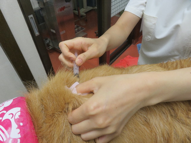 ファイル 5884-3.jpg