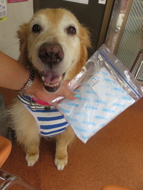 ファイル 5884-4.jpg