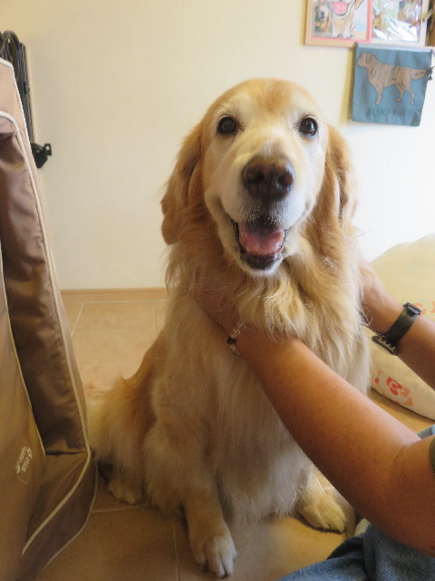 ファイル 5885-1.jpg