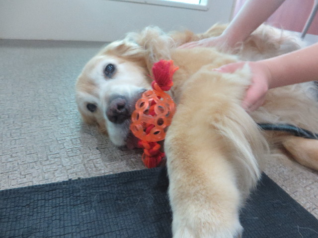 ファイル 5885-2.jpg