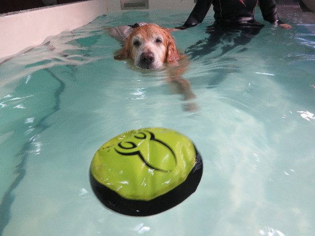 ファイル 5885-3.jpg