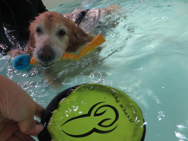 ファイル 5885-4.jpg