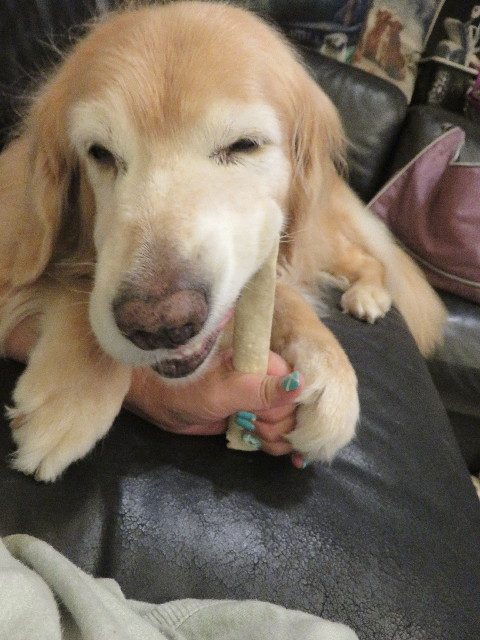 ファイル 5886-2.jpg