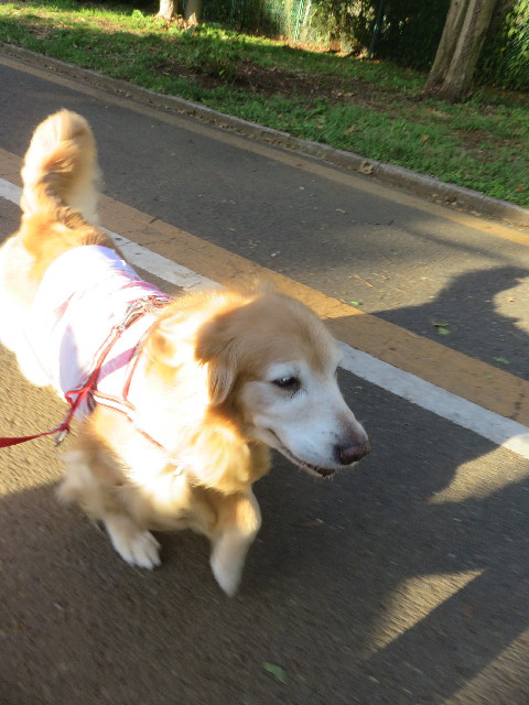 ファイル 5886-4.jpg