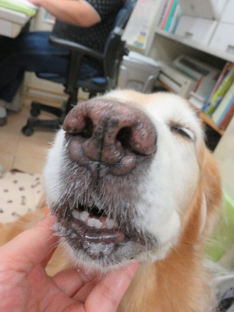 ファイル 5888-5.jpg