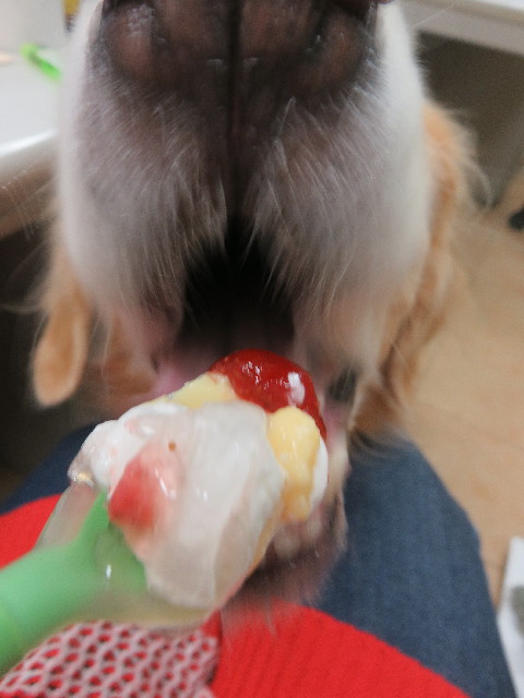 ファイル 5889-2.jpg