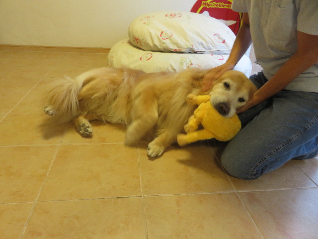 ファイル 5889-4.jpg