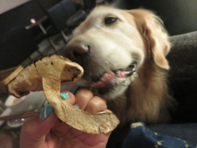 ファイル 5891-5.jpg