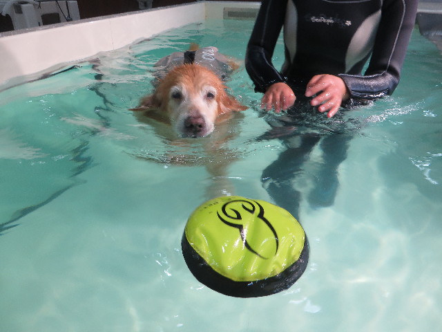 ファイル 5892-4.jpg