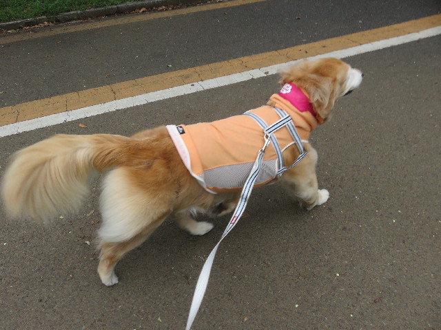 ファイル 5895-3.jpg