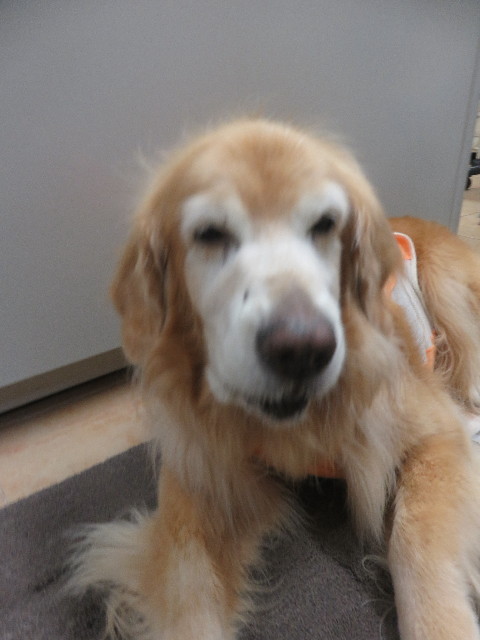 ファイル 5895-5.jpg