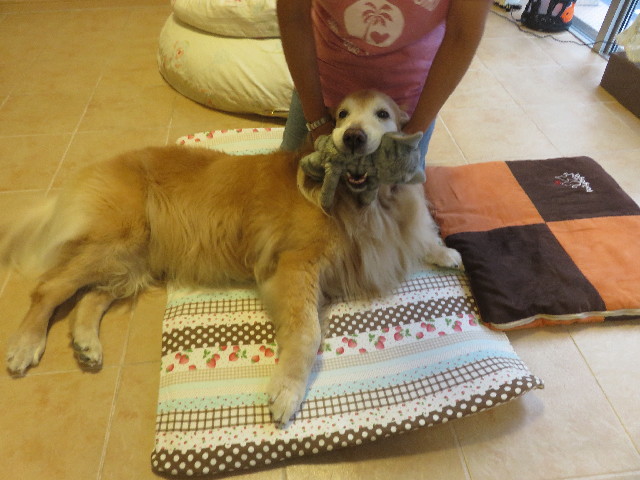 ファイル 5897-1.jpg