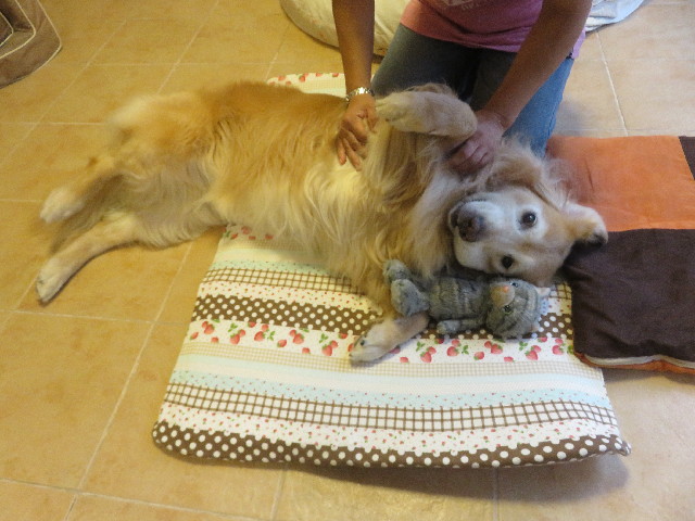 ファイル 5897-2.jpg