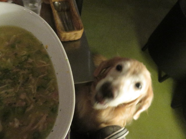 ファイル 5898-1.jpg