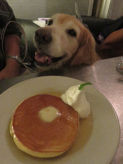 ファイル 5898-2.jpg