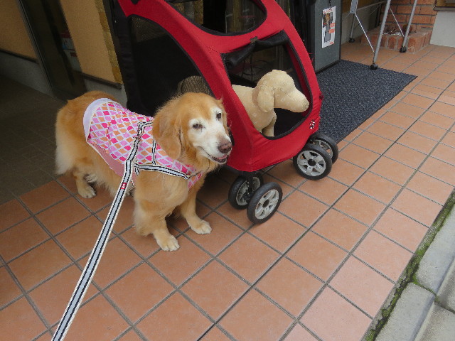 ファイル 5898-3.jpg